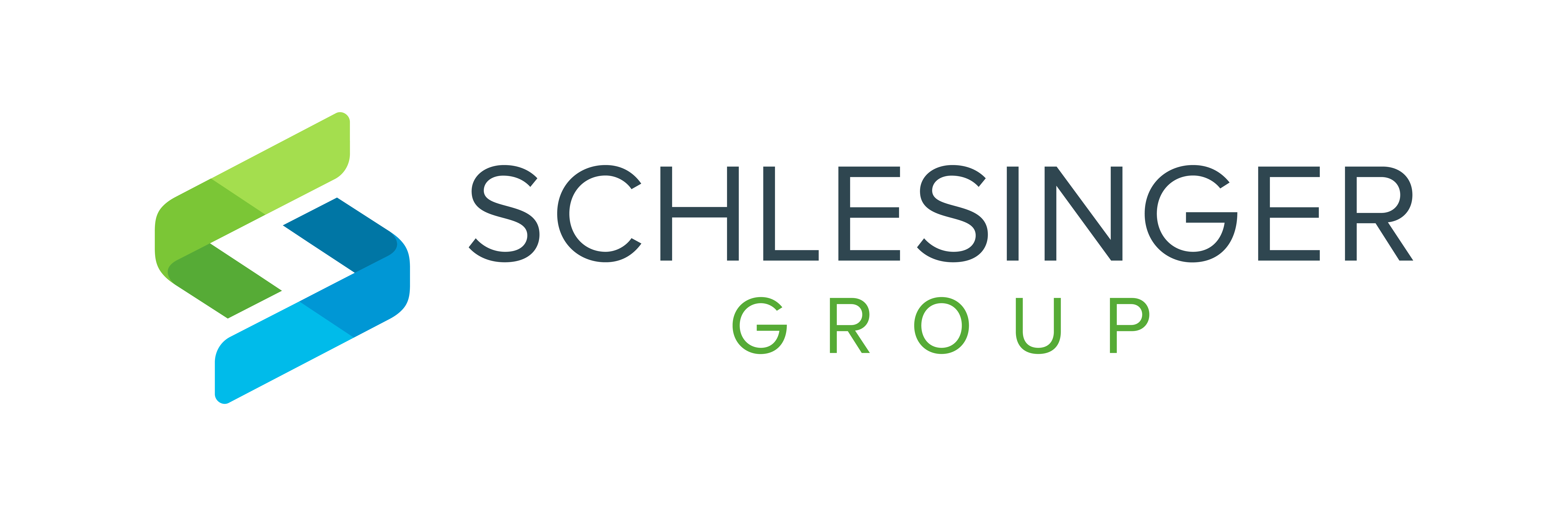 Schlesinger-Group-Logo